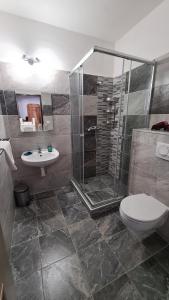 a bathroom with a shower and a toilet and a sink at Hotel Pangea in Telč