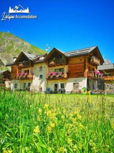 een groot huis in een grasveld bij Al Bait da Valeriano by Livigno Accomodation in Livigno