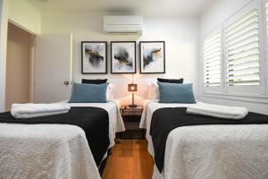 two beds in a room with white and blue at Birds 'n' Bloom Cottages in Yungaburra