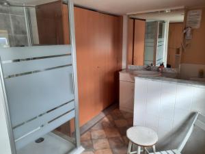 a small kitchen with a glass shower and a stool at Gîte du Soleil in Anhée