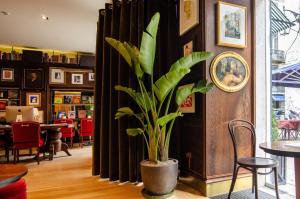 a plant in a pot in a room at Browns Boutique Hotel in Lisbon