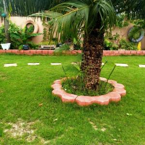 una palmera en medio de un campo de hierba en BabaJay Family Home, en Dar es Salaam