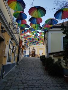 센텐드레에 위치한 Szöcske Guesthouse In the Danube Bend near Budapest에서 갤러리에 업로드한 사진