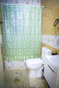 een badkamer met een toilet en een douchegordijn bij Eco Hostel in Ramallah