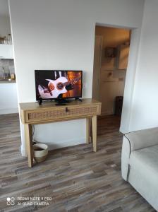 Televízia a/alebo spoločenská miestnosť v ubytovaní Appartement de charme