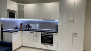 Dapur atau dapur kecil di Apartment Hospodárska