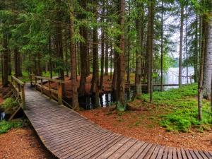 uma ponte de madeira sobre um lago numa floresta em OREA Spa Hotel Cristal em Mariánské Lázně