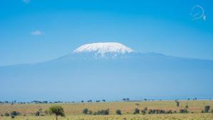 góra w środku pola w obiekcie Amanya Double Pitch Tent with Mt Kilimanjaro View w mieście Amboseli