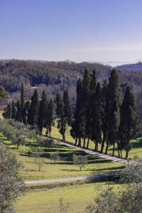 a road in a field with trees and grass at Rivo della Corte in Pistoia