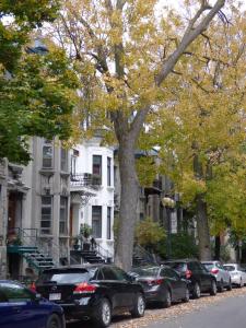 uma rua com carros estacionados em frente aos edifícios em Gingerbread Manor em Montréal