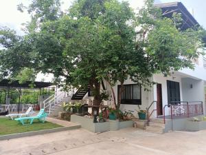 ein Haus mit einem Baum im Hof in der Unterkunft Alona WhiteHouses Resort in Panglao