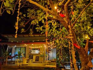 a tree with lights in front of a restaurant at DOX Ko Lanta in Ko Lanta