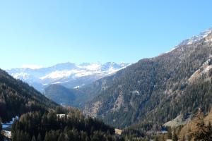 un valle de montaña con árboles y montañas cubiertas de nieve en Hotel Sfazù, en Poschiavo