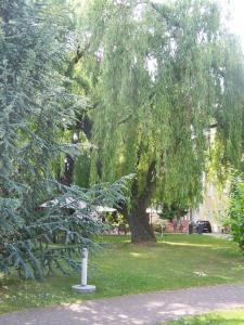 Un jardín fuera de Dresdner Hof