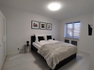 een slaapkamer met een groot bed en een raam bij Apartament Wrocław Borowska in Wrocław