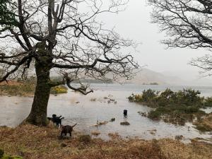 Naturlandskabet i nærheden af bed & breakfast-stedet