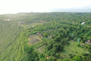 una vista aérea de una zona boscosa con casas y árboles en The Ulus Klumpu, en Uluwatu