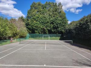 a tennis court with a net on it at Casa De Fatauncos in Vouzela