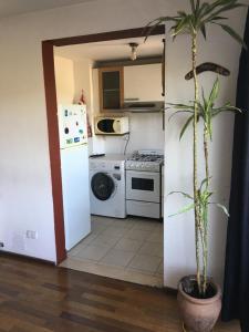 コルドバにあるDepartamento amoblado nueva Córdobaのキッチン(白い冷蔵庫、植物付)