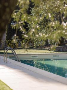 a swimming pool with trees in the background at Rivo della Corte in Pistoia