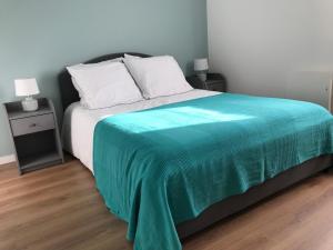 - une chambre avec un lit doté d'une couverture verte dans l'établissement APPARTEMENT NEUF ET BIEN SITUE AVEC UN CLASSEMENT, à Saint-Malo