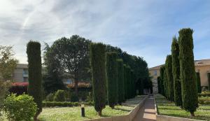 une rangée de cyprès dans un jardin dans l'établissement Grand Noble - Blagnac, à Blagnac