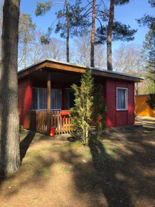 a red cabin in the woods with a tree at Gast-& Logierhaus Am Rheinsberger See in Rheinsberg