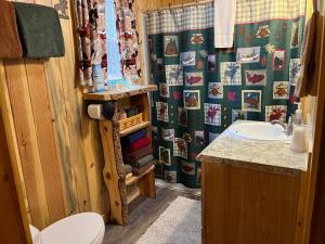 La salle de bains est pourvue de toilettes et d'un lavabo. dans l'établissement Pine Haven Resort, à Estes Park