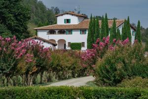 Garður fyrir utan VIESCA Suites & Villas Il Borro Toscana