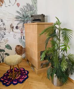 a stool and a plant in a room with a wall at Der Stadtzirkus in Klagenfurt