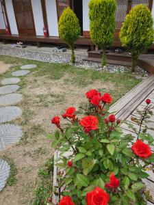 een stel rode rozen naast een bank bij Sori poonggyung in Jeonju