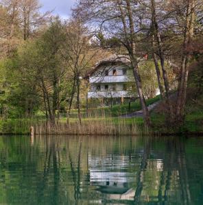 uma casa numa colina ao lado de um corpo de água em Lake House Sebanc em Bled