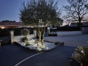 un giardino con un albero e luci in un vialetto di Chez les J-FOLAIS - 3 kms Puy duFou - Les Epesses a Les Épesses