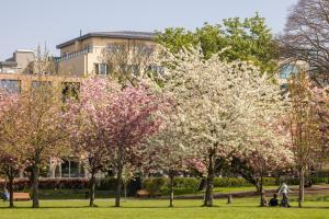 Градина пред Herbert Park Hotel and Park Residence