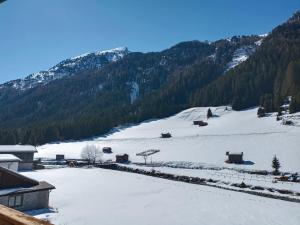 una montagna innevata con case e alberi di Apart Bergglück a Sankt Leonhard im Pitztal