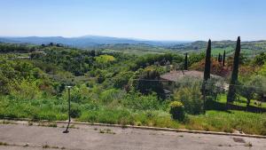 vista su una collina con recinzione e alberi di Casa vacanze Isa a Manciano