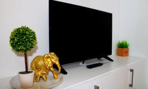 a tv with a lion statue next to a plant at Wyszyńskiego 10 in Białystok