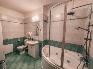 a bathroom with a shower and a toilet and a sink at Gizela in Luhačovice