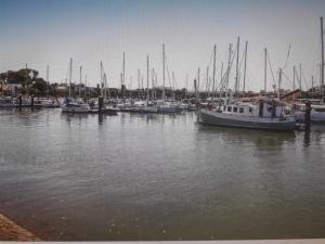 um grupo de barcos ancorados num porto em Piso en ayamonte em Ayamonte