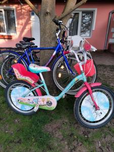 un gruppo di biciclette parcheggiate accanto a un albero di Villa Sunset a Palić