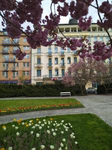 Jardí fora de Interhotel Central