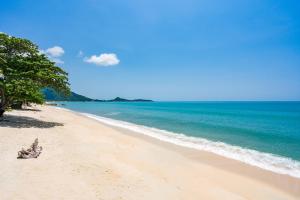 piaszczysta plaża z drzewami i oceanem w obiekcie 4U Resort Samui w mieście Lamai