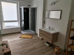 La salle de bains est pourvue d'une douche et d'un lavabo. dans l'établissement Le caillou Blanc, à Charleroi