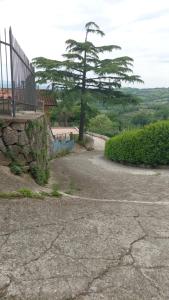 una strada tortuosa con un albero in lontananza di Casa vacanze Isa a Manciano