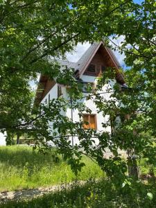 a white house with a window in the middle of trees at Livada lui Papu in Izvoarele