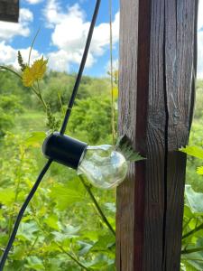 a light hanging from a wooden pole at Livada lui Papu in Izvoarele