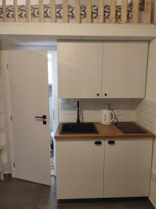 Eldhús eða eldhúskrókur á Apartman Dux 2