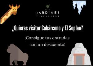 a poster for a safari with a giraffe and a bear at Jardines Villaverde in Villaverde de Pontones