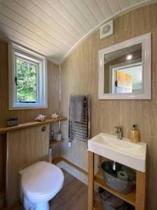 Un baño de Little Idyll shepherds hut