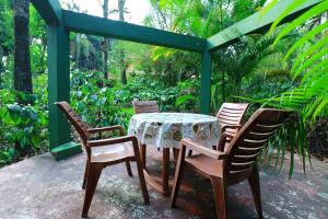 Κήπος έξω από το SaffronStays Coorg Toddy Farms, Coorg